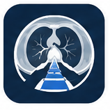 Radiology AI Navigator